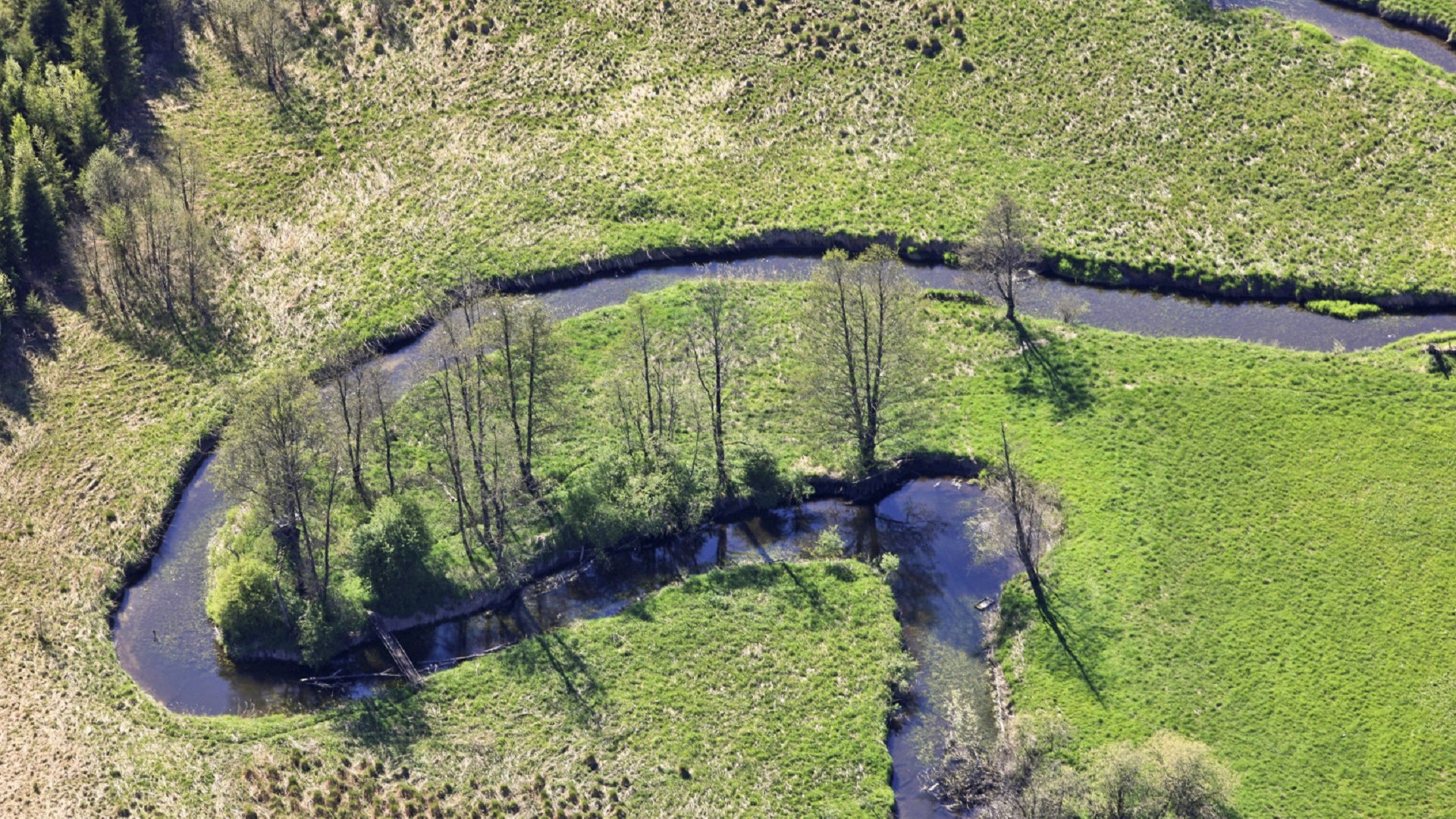 Die Fläche rund um den Haselbach wurde renaturiert, Drainagegräben im Moor wurden verschlossen, um das natürliche Moor - ein Stück Urnatur - wieder herzustellen. Der vorher begradigte Bach windet sich seit 2020 wieder kurvenreich durch die Landschaft., © Stiftung Kunst und Natur Nantesbuch | Klaus Leidorf Die Fläche rund um den Haselbach wurde renaturiert, Drainagegräben im Moor wurden verschlossen, um das natürliche Moor - ein Stück Urnatur - wieder herzustellen. Der vorher begradigte Bach windet sich seit 2020 wieder kurvenreich durch die Landschaft., © Stiftung Kunst und Natur Nantesbuch | Klaus Leidorf
