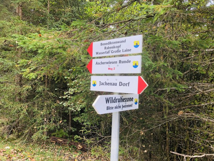 Bitte meide ausgewiesene Wald-Wild-Schongebiete, um Wildtiere nicht zu stören. Wird das Wild aufgescheucht und muss flüchten, verbraucht es dringend benötigte Energie, um durch den Winter zu kommen., © Landratsamt Bad Tölz-Wolfratshausen|M.Hütt Bitte meide ausgewiesene Wald-Wild-Schongebiete, um Wildtiere nicht zu stören. Wird das Wild aufgescheucht und muss flüchten, verbraucht es dringend benötigte Energie, um durch den Winter zu kommen., © Landratsamt Bad Tölz-Wolfratshausen|M.Hütt