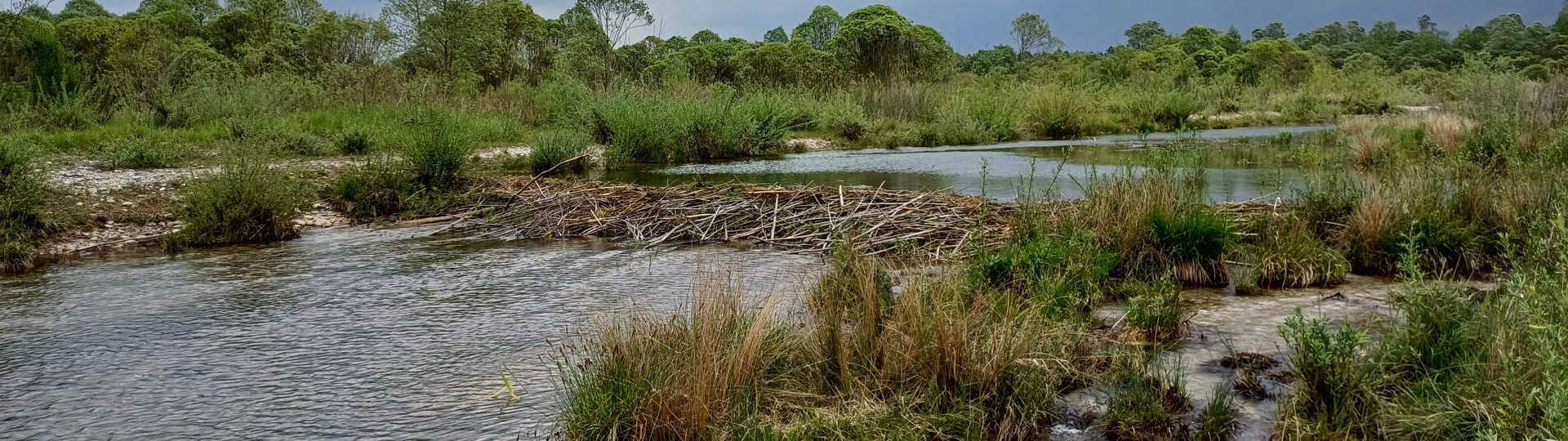 wilde Flusslandschaft der Isar bei Geretsried, © Stadt Geretsried wilde Flusslandschaft der Isar bei Geretsried, © Stadt Geretsried