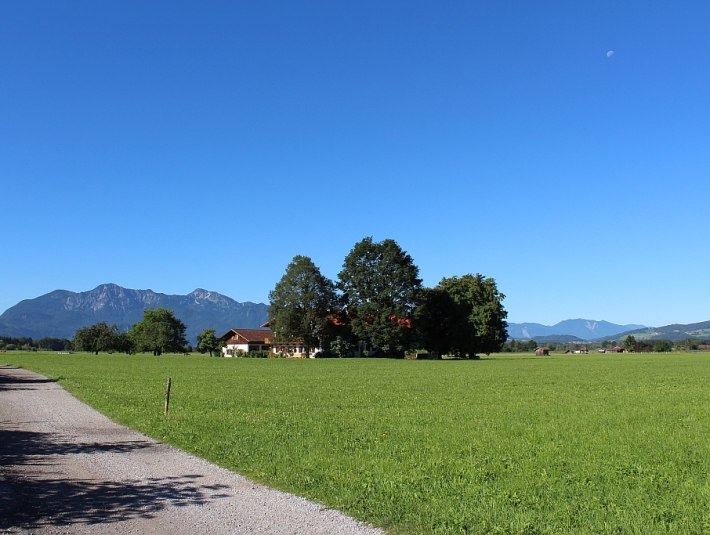 Moosweg bei Benediktbeuern, © Tölzer Land Tourismus Moosweg bei Benediktbeuern, © Tölzer Land Tourismus
