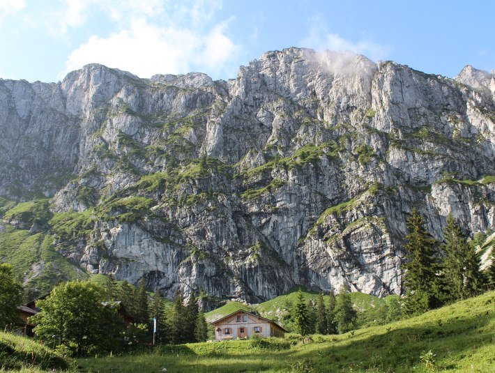 Die Benediktenwand (1801m) mit seiner markanten Silhouette prägt die Landschaft - Bergwanderer lieben diesen Gipfel und auch tierische Kletterer - die Steinböcke sind hier zu Hause!, © Gästeinformation Benediktbeuern | S. Rauscher Die Benediktenwand (1801m) mit seiner markanten Silhouette prägt die Landschaft - Bergwanderer lieben diesen Gipfel und auch tierische Kletterer - die Steinböcke sind hier zu Hause!, © Gästeinformation Benediktbeuern | S. Rauscher