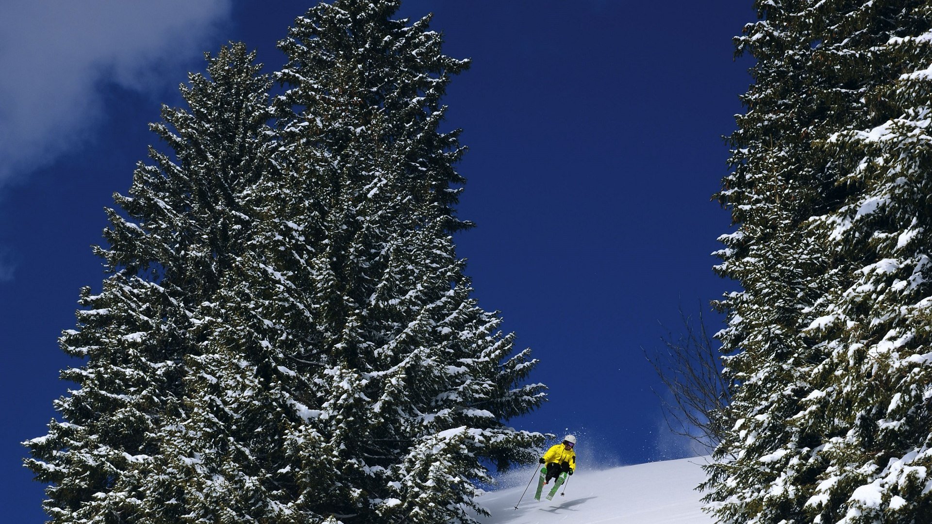 Die Skischule Ecki Kober will Menschen in ihren Kursen für den Schneesport begeistern und zugleich für die grandiose Natur sensibilisieren, © Skischule Ecki Kober Die Skischule Ecki Kober will Menschen in ihren Kursen für den Schneesport begeistern und zugleich für die grandiose Natur sensibilisieren, © Skischule Ecki Kober