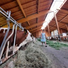 Biolandwirtin Dorothee aus Icking, © Landratsamt Bad Tölz-Wolfratshausen|Heither Biolandwirtin Dorothee aus Icking, © Landratsamt Bad Tölz-Wolfratshausen|Heither