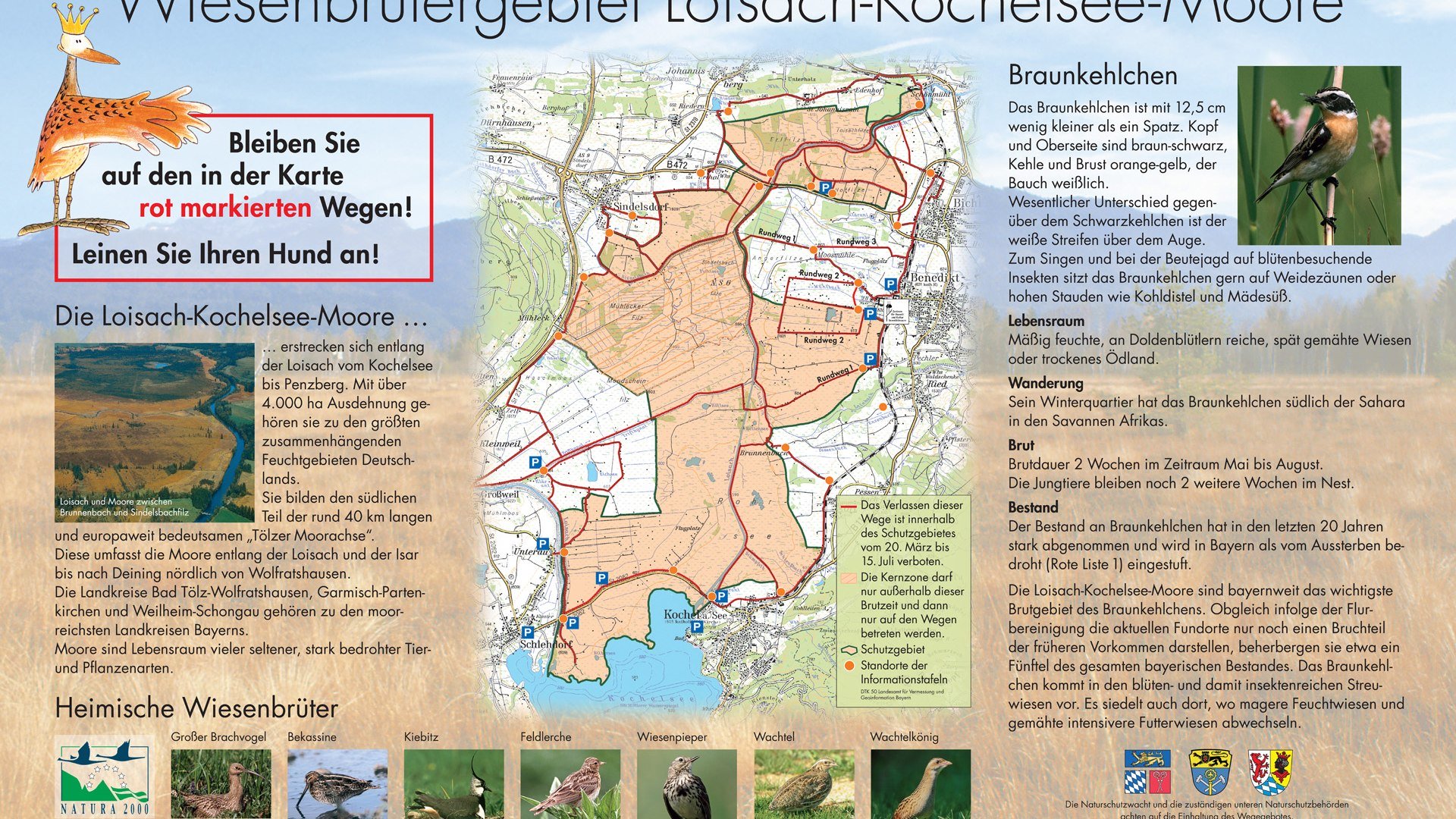 Die Schautafel im Loisach-Kochelsee-Moor zeigt die Merkmale des Braunkehlchens auf UND zeigt auch, welche Wege genutzt werden dürfen. Bitte haltet Euch den Wiesenbrütern zuliebe unbedingt an das Wegegebot und tragt so dazu bei, bedrohte Vogelarten zu schützen! Vielen Dank. , © Landratsamt Bad Tölz-Wolfratshausen Die Schautafel im Loisach-Kochelsee-Moor zeigt die Merkmale des Braunkehlchens auf UND zeigt auch, welche Wege genutzt werden dürfen. Bitte haltet Euch den Wiesenbrütern zuliebe unbedingt an das Wegegebot und tragt so dazu bei, bedrohte Vogelarten zu schützen! Vielen Dank. , © Landratsamt Bad Tölz-Wolfratshausen