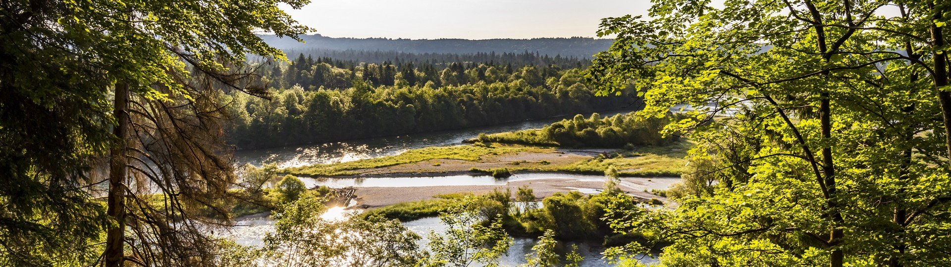 Ein Stück "Urwald" an der Isar ganz nahe der Stadt Wolfratshausen , © Stadt Wolfratshausen|Adrian Greiter Ein Stück "Urwald" an der Isar ganz nahe der Stadt Wolfratshausen , © Stadt Wolfratshausen|Adrian Greiter