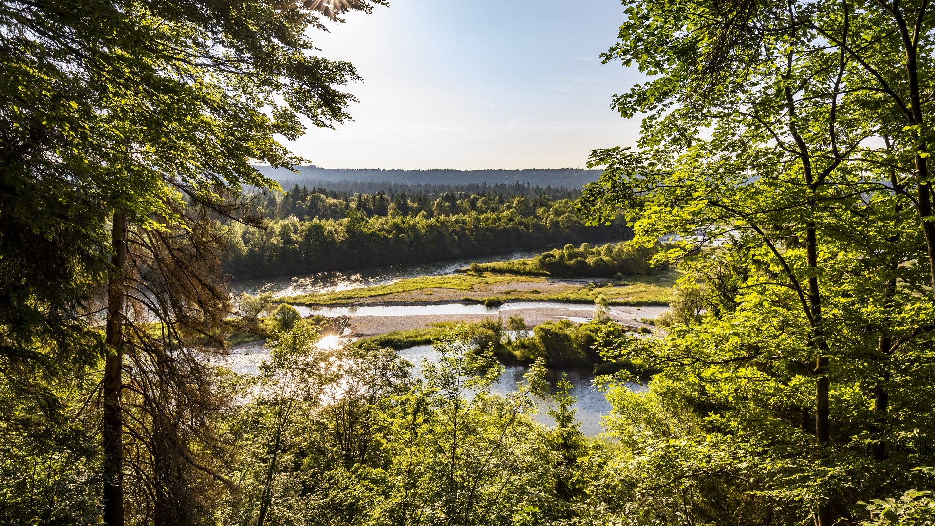 Ein Stück "Urwald" an der Isar ganz nahe der Stadt Wolfratshausen , © Stadt Wolfratshausen|Adrian Greiter Ein Stück "Urwald" an der Isar ganz nahe der Stadt Wolfratshausen , © Stadt Wolfratshausen|Adrian Greiter
