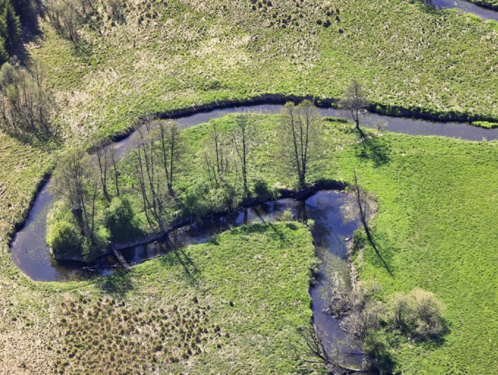 Die Fläche rund um den Haselbach wurde renaturiert, Drainagegräben im Moor wurden verschlossen, um das natürliche Moor  - ein Stück Urnatur - wieder herzustellen. Der vorher begradigte Bach windet sich seit 2020 wieder kurvenreich durch die Landschaft., © Stiftung Kunst und Natur Nantesbuch | Klaus Leidorf