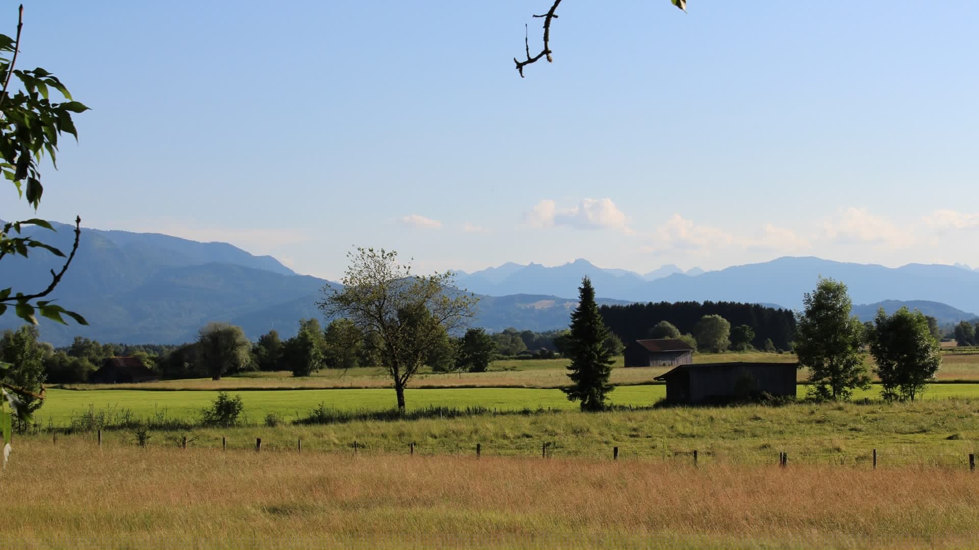 Das "Moos" zwischen Benediktbeuern und dem Kochelsee entlang der Loisach ist ein 1830 ha gro&szlig;es Naturschutzgebiet mit besonders seltenen Tier- und Pflanzenarten. Deshalb gelten hier strenge Schutzvorschriften!, &copy; G&auml;steinformation Benediktbeuern | Sabine Rauscher