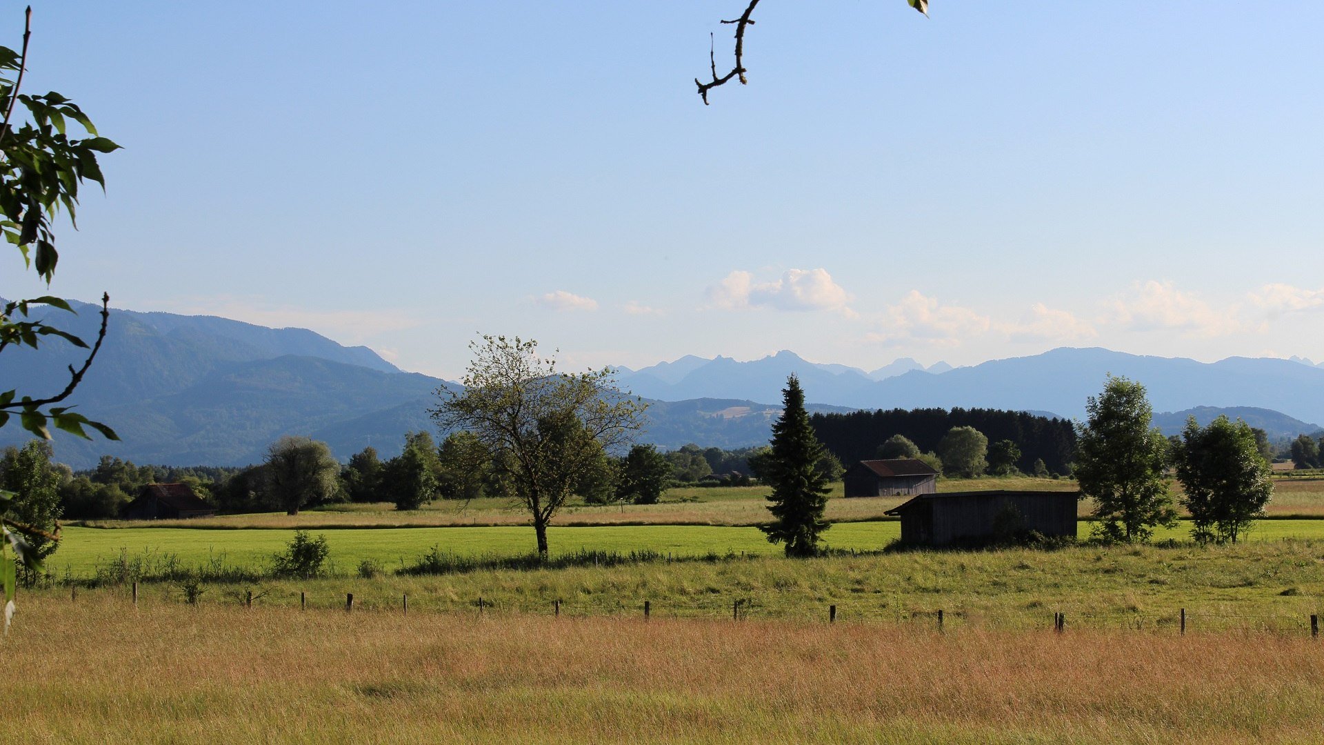 Das "Moos" zwischen Benediktbeuern und dem Kochelsee entlang der Loisach ist ein 1830 ha gro&szlig;es Naturschutzgebiet mit besonders seltenen Tier- und Pflanzenarten. Deshalb gelten hier strenge Schutzvorschriften!, &copy; G&auml;steinformation Benediktbeuern | Sabine Rauscher
