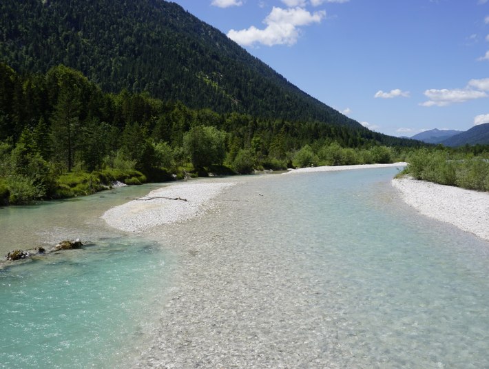 Die Isar gilt als einer der letzten Wildfl&uuml;sse und bietet zahlreichen Tieren und Pflanzen Heimat., &copy; Archiv T&ouml;lzer Land Tourismus|Kunz PR