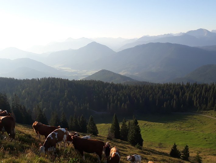 Ausblick von der Almweide in die Berge, © Seppenbauernhof