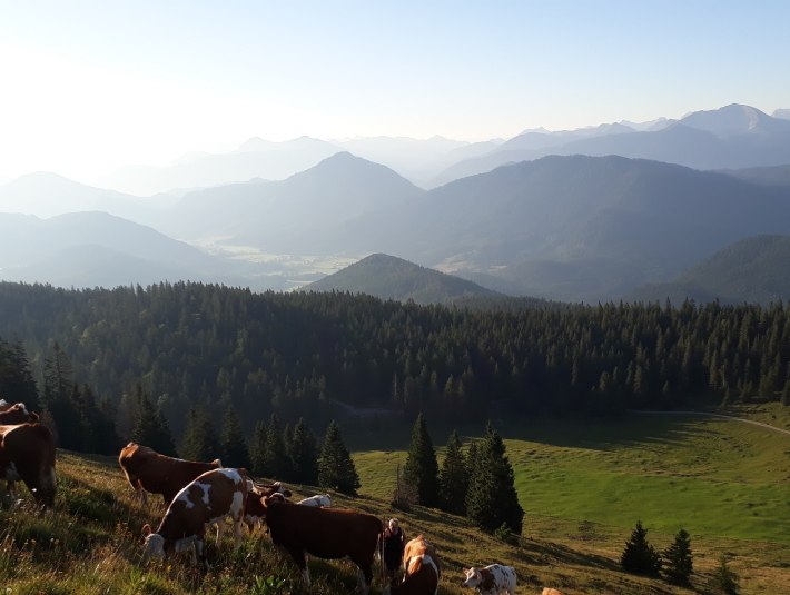 Ausblick von der Almweide in die Berge, © Seppenbauernhof