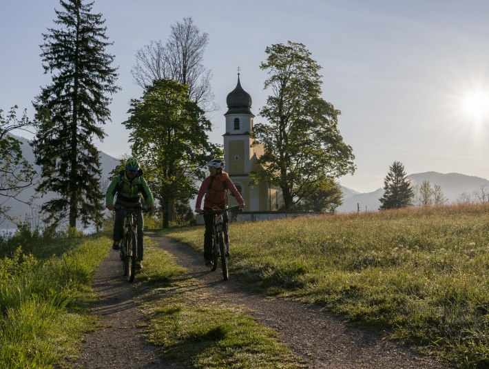 Bitte unbedingt auf den offiziellen Wegen bleiben bei Deiner Tour rund um die Halbinsel Zwergern. Zum Schutz der Magerwiesen und -weiden, in enger &ouml;kologischer Verzahnung mit bodensauren Magerrasen und Flachmooren, f&uuml;hrt der Weg nicht durchg&auml;ngig am See entlang. , &copy; T&ouml;lzer Land Tourismus|Bernd Ritschel