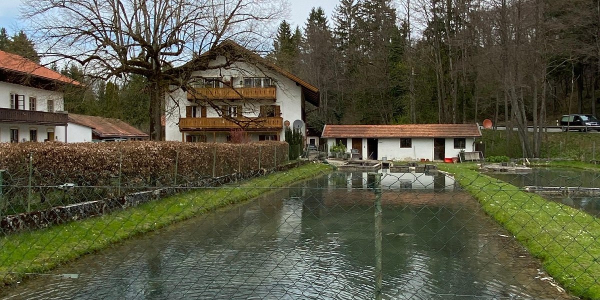 Einer der Fischteiche des Forellenhofs Walgerfranz, © Hochschule München