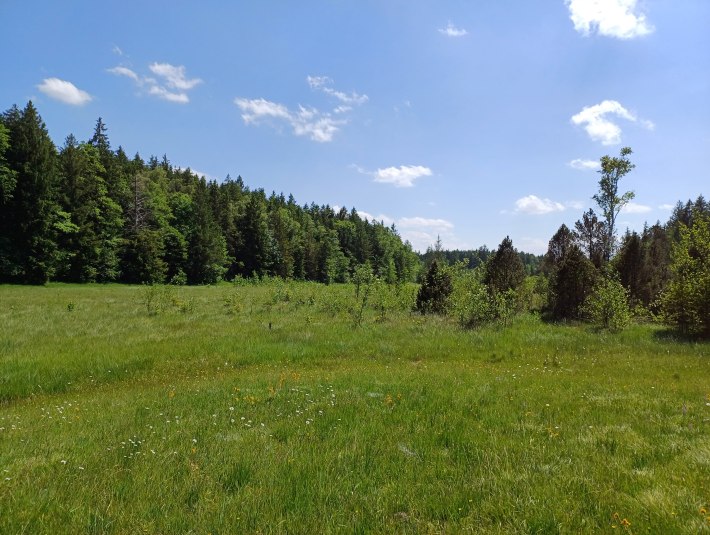 Typische  Moorlandschaft zwischen Geretsried und Eurasburg, © Stadt Geretsried