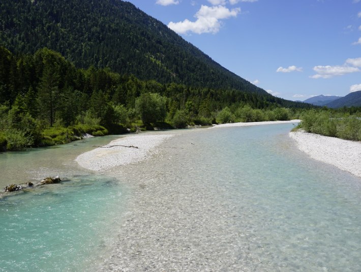 Die Isar gilt als einer der letzten Wildflüsse und bietet zahlreichen Tieren und Pflanzen Heimat., © Archiv Tölzer Land Tourismus|Kunz PR