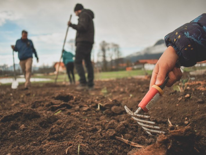 Miteinander arbeiten am Sonnenacker - s&auml;en, wachen, ernten, &copy; ReAL Verbund