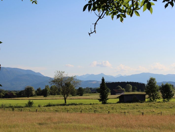 Das "Moos" zwischen Benediktbeuern und dem Kochelsee entlang der Loisach ist ein 1830 ha gro&szlig;es Naturschutzgebiet mit besonders seltenen Tier- und Pflanzenarten. Deshalb gelten hier strenge Schutzvorschriften!, &copy; G&auml;steinformation Benediktbeuern | Sabine Rauscher