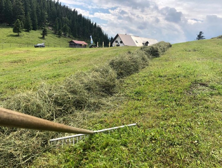 Heumahd auf der Jocheralm, © Seppenbauernhof