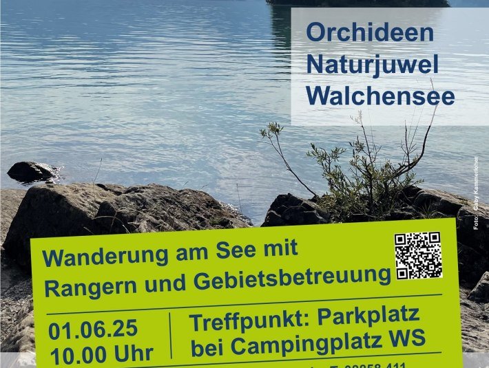 Plakat zur Rangertour Orchideenwanderung am Walchenseeam 1. Juni 2025.
Anmeldung  zur Rangertour bis 2 Tage vorher mit Angabe der Mobilfunk-Nummer bei der Tourist-Information Walchensee, Tel. 08858 411 oder per Mail: info@walchensee.de, © Landratsamt Bad Tölz-Wolfratshausen|Gabi Kammerloher