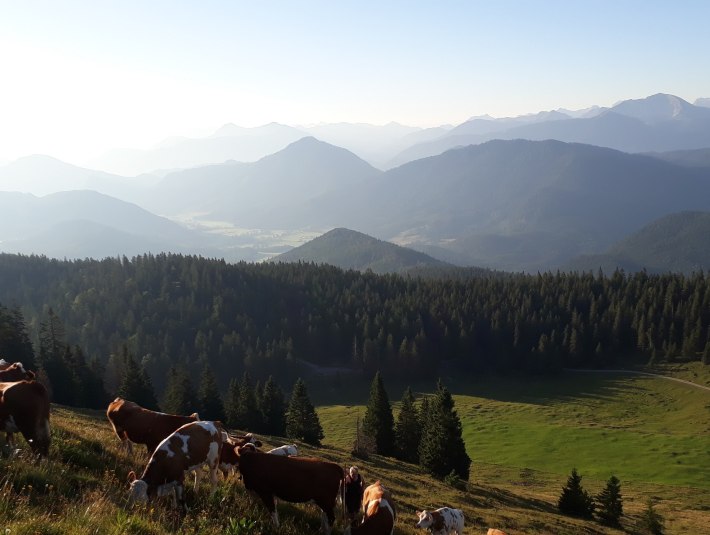 Ausblick von der Almweide in die Berge, &copy; Seppenbauernhof