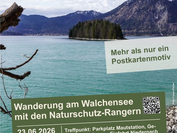 Plakat zur Wanderung am Walchensee mit den Naturschutzrangern am 23.06.2026, &copy; Landratsamt Bad T&ouml;lz-Wolfratshausen, Foto Louis Fischer