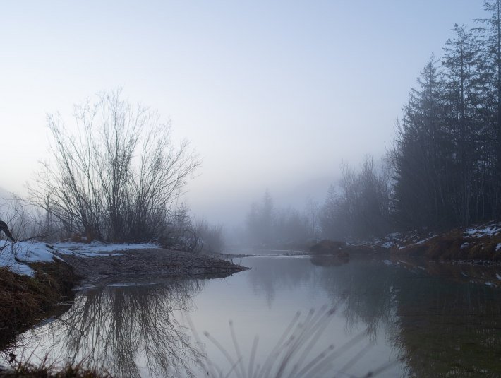Nebelverhangene Winterstimmung in den Isarauen mit Pflanzenbüscheln , © Landratsamt Bad Tölz-Wolfratshausen|Foto: S. Gerg