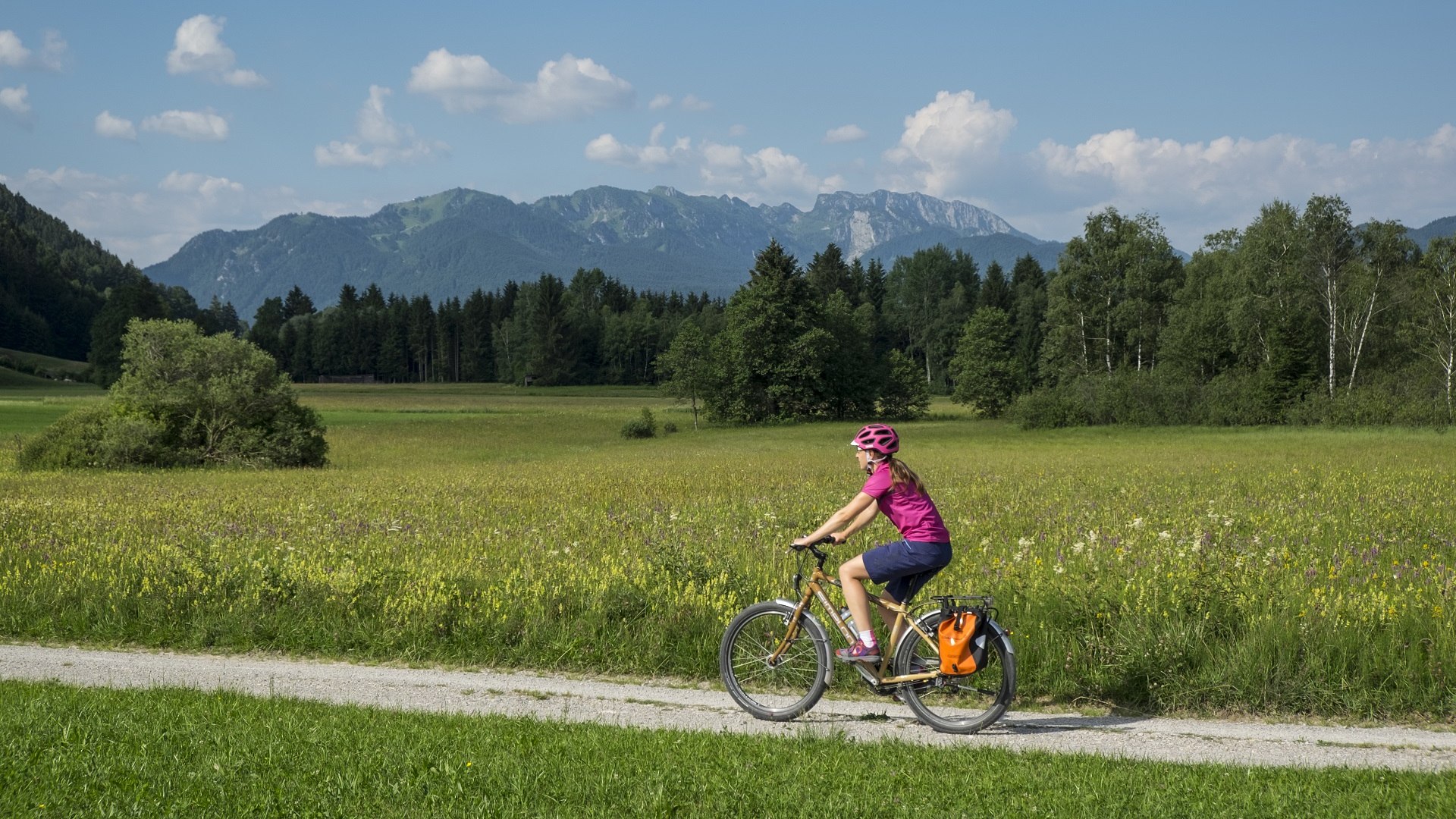 Welch ein Genuß: eine Fahrradtour auf dem Radweg entlang der Blumenwiese vor dem traumhaften Bergpanoram der Benediktenwand, © Tölzer Land Tourismus|Jörg Spaniol