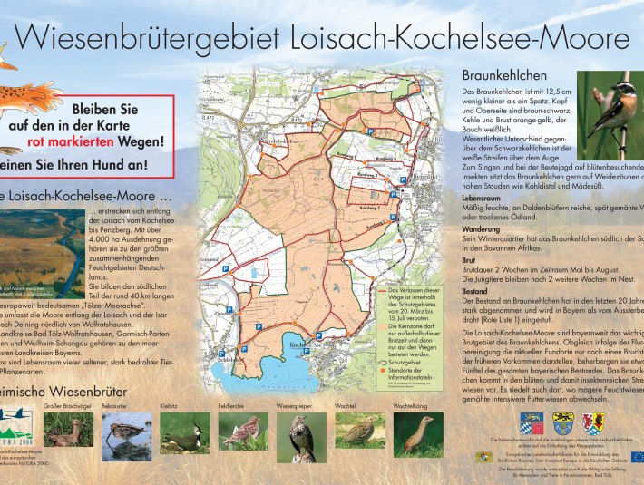 Die Schautafel im Loisach-Kochelsee-Moor zeigt die Merkmale des Braunkehlchens auf UND zeigt auch, welche Wege genutzt werden dürfen. Bitte haltet Euch den Wiesenbrütern zuliebe unbedingt an das Wegegebot und tragt so dazu bei, bedrohte Vogelarten zu schützen! Vielen Dank. , © Landratsamt Bad Tölz-Wolfratshausen