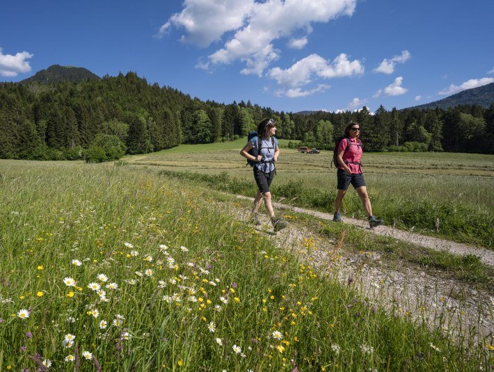 Bitte nutze für Deine Ausflüge in die Natur das ausgedehnte und gut beschilderte Wanderwegenetz, © Tölzer Land Tourismus|Bernd Ritschel