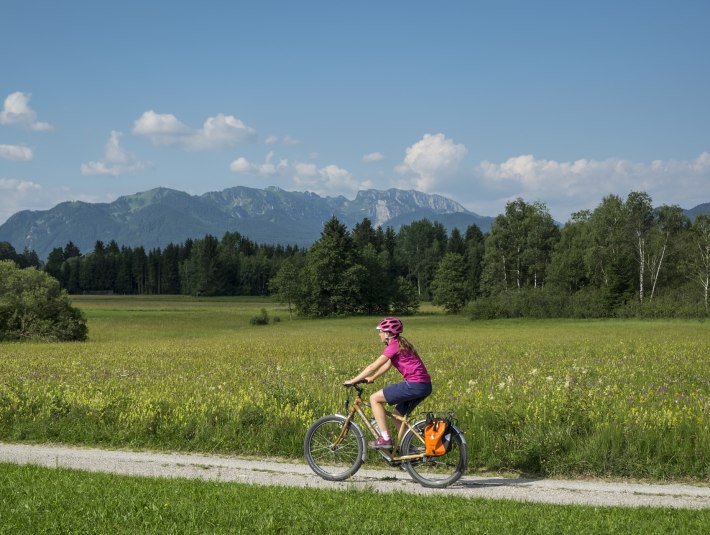 Welch ein Genuß: eine Fahrradtour auf dem Radweg entlang der Blumenwiese vor dem traumhaften Bergpanoram der Benediktenwand, © Tölzer Land Tourismus|Jörg Spaniol