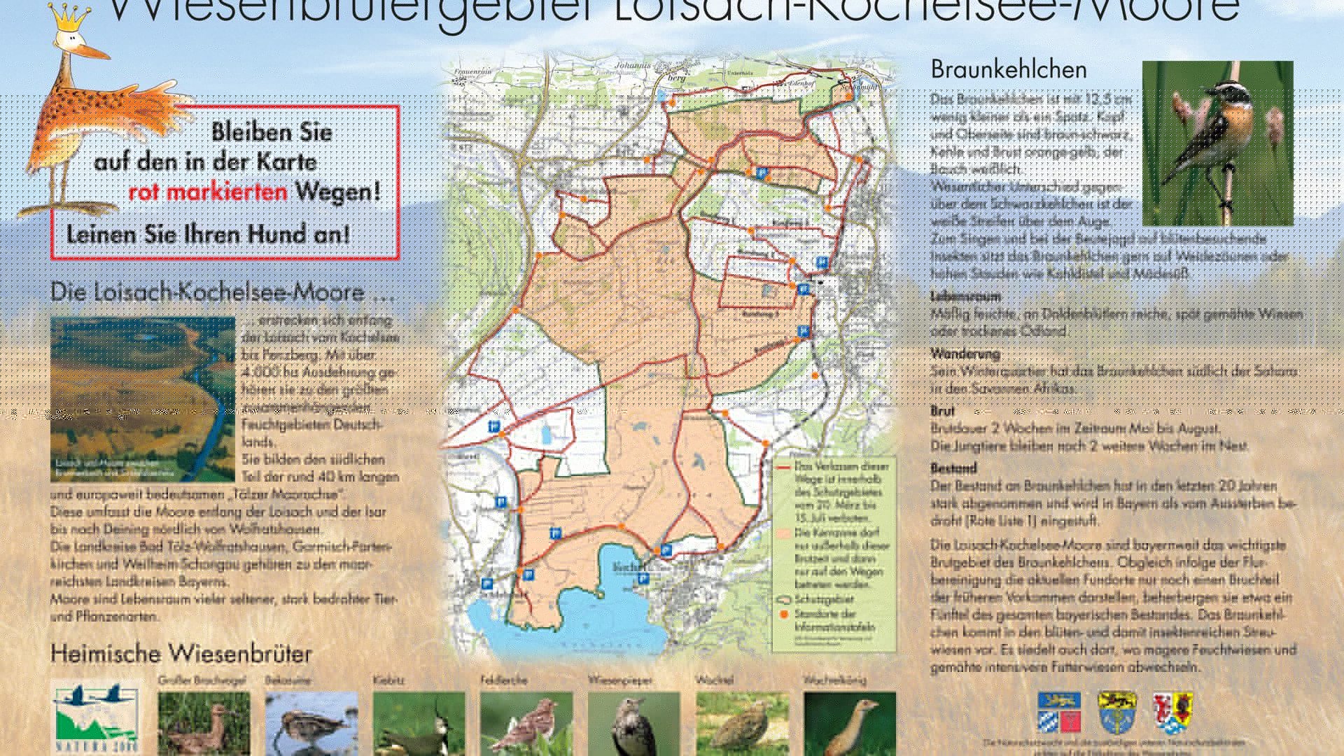 Die Schautafel im Loisach-Kochelsee-Moor zeigt die Merkmale des Braunkehlchens auf UND zeigt auch, welche Wege genutzt werden d&uuml;rfen. Bitte haltet Euch den Wiesenbr&uuml;tern zuliebe unbedingt an das Wegegebot und tragt so dazu bei, bedrohte Vogelarten zu sch&uuml;tzen! Vielen Dank. , &copy; Landratsamt Bad T&ouml;lz-Wolfratshausen