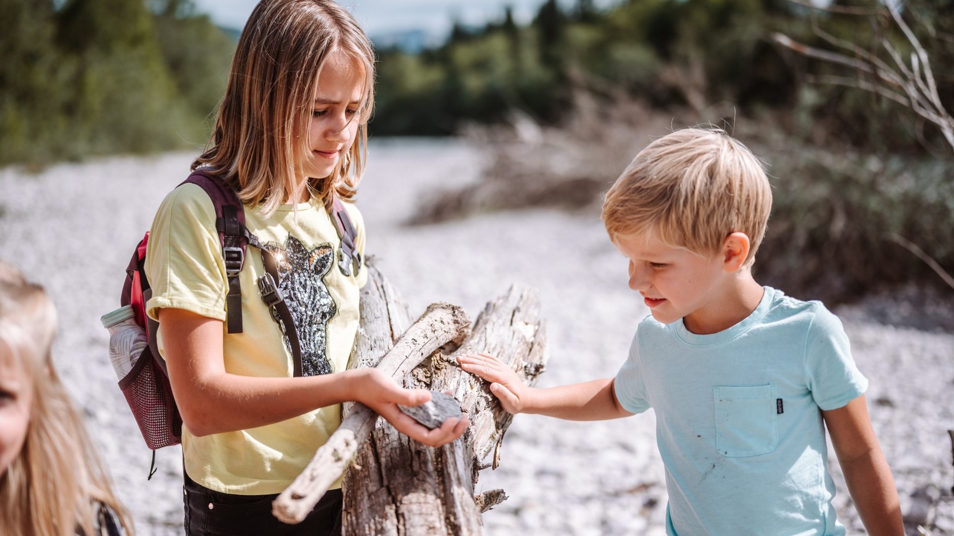 Entdecke die Natur - unterst&uuml;tzt mit den versch. ausgewiesenen Lehrpfaden mit Schau- und Infotafeln und interaktiven Stationen, um Natur mit allen Sinnen zu erfahren, &copy; T&ouml;lzer Land Tourismus|Markus Schlaf