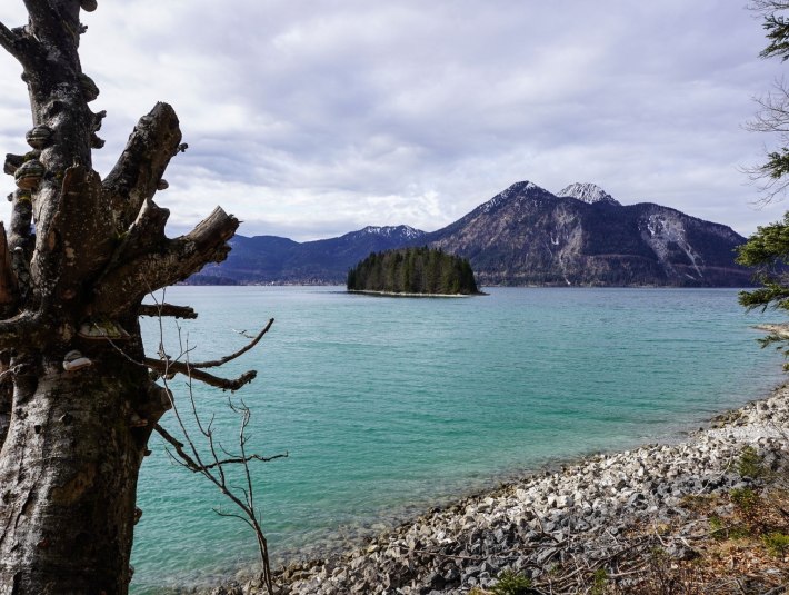 Blick auf die Insel Sassau im Walchensee, &copy; Landratsamt Bad T&ouml;lz-Wolfratshausen, Foto Louis Fischer