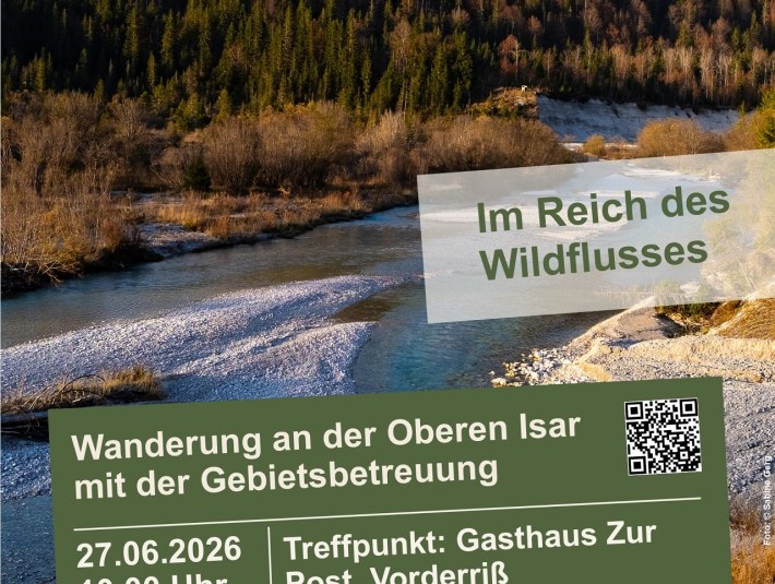 Plakt zur Wanderung "Im Reich des Wildflusses" an der oberen Isar mit den Gebietsbetreuern a 27.06.2026, 10 Uhr Lenggries, Vorderriss, &copy; Landratsamt Bad T&ouml;lz-Wolfratshausen, Foto Sabine Gerg