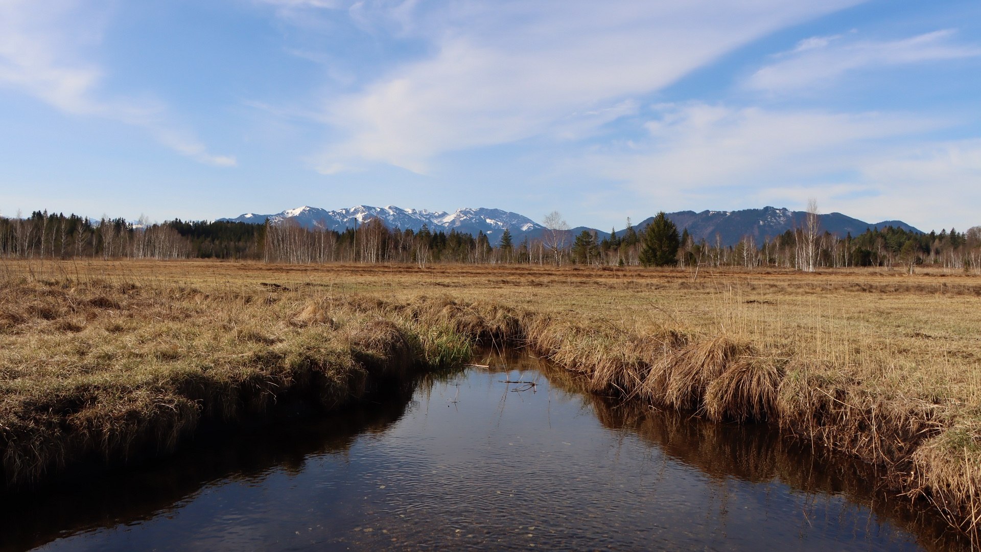 Ellbach-Kirchsee-Moor, &copy; Johanna Kirschenhofer