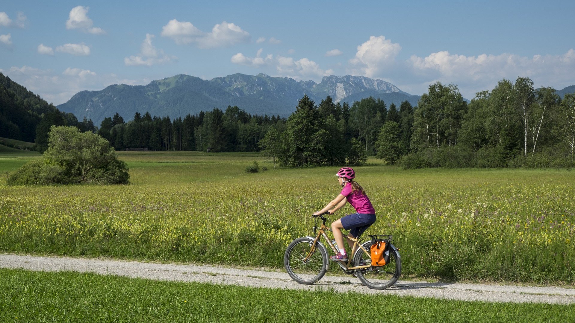 Welch ein Genu&szlig;: eine Fahrradtour auf dem Radweg entlang der Blumenwiese vor dem traumhaften Bergpanoram der Benediktenwand, &copy; T&ouml;lzer Land Tourismus|J&ouml;rg Spaniol