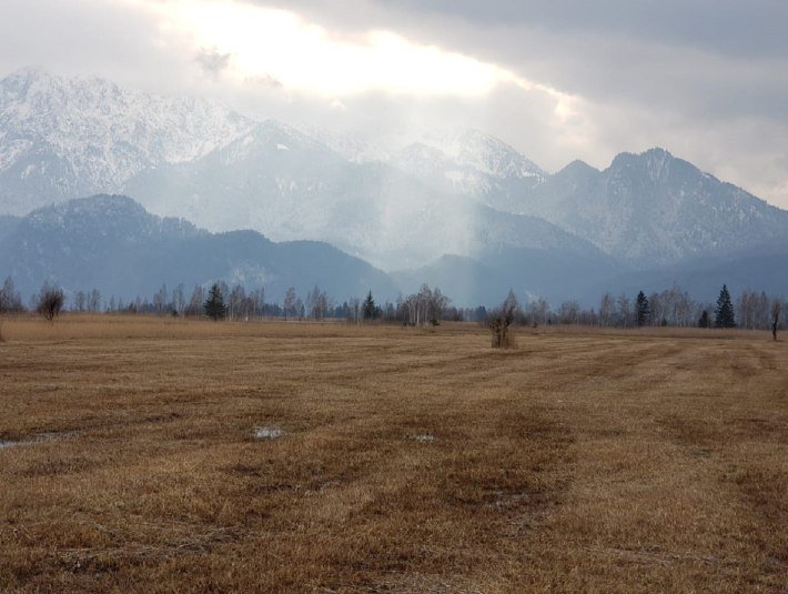 Über dem flachen Moorgebiet ragen verschneite Berge auf, durch den wolkenverhangenen Himmel leuchtet die Sonne herab und lässt die Filz goldgelb leuchten., © Landratsamt Bad Tölz-Wolfratshausen|Foto: J. Kaschek