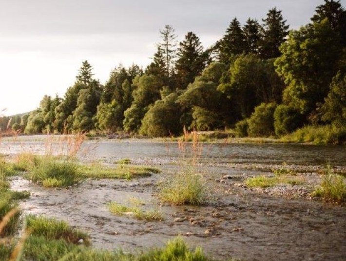 Isarauen in Abendstimmung, &copy; Landratsamt Bad T&ouml;lz-Wolfratshausen, Foto Leonie Lorenz