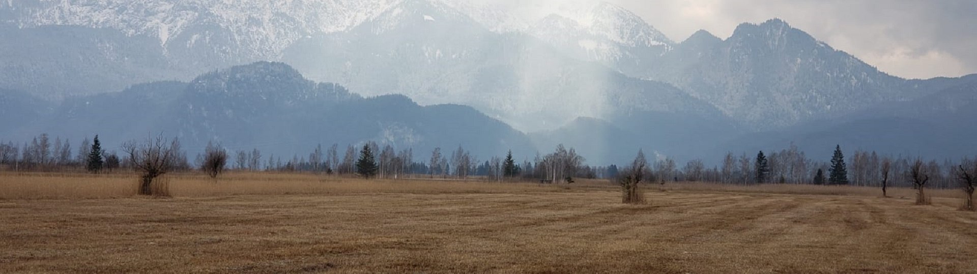 Über dem flachen Moorgebiet ragen verschneite Berge auf, durch den wolkenverhangenen Himmel leuchtet die Sonne herab und lässt die Filz goldgelb leuchten., © Landratsamt Bad Tölz-Wolfratshausen|Foto: J. Kaschek
