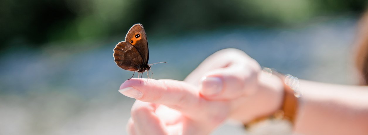 Welch ein Glücksgefühl, wenn sich ein zarter Schmetterling auf den Finger setzt, © Archiv Tölzer Land Tourismus|Leonie Lorenz