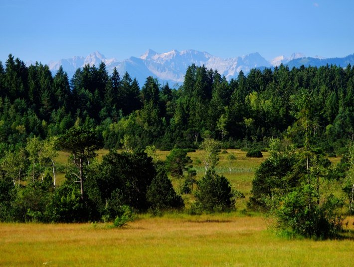 Ellbacher Moor (HK29), &copy; T&ouml;lzer Land Tourismus