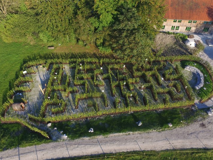 Der Heckenirrgarten in K&ouml;nisgdorf nahe der Bildungsst&auml;tte Hochland von oben in Form eines menschlichen Fu&szlig;abdruck- eine besondere Form des Lehrpfads zum "&ouml;kologischen Fu&szlig;abdruck" der Menschen mit R&auml;tselstationen, &copy; Archiv T&ouml;lzer Land Tourismus|Matth&auml;us Krinner