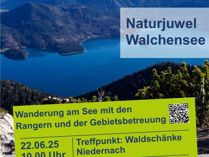 Plakat: 22. Juni 2025: Naturjuwel Walchensee - Orchideen-Wanderung am Ostufer
Orchideen in Wald und Wiese
Wanderung am idyllischen Ostufer mit den Naturschutz-Rangern und der Gebietsbetreuerin, © Landratsamt Bad Tölz-Wolfratshausen