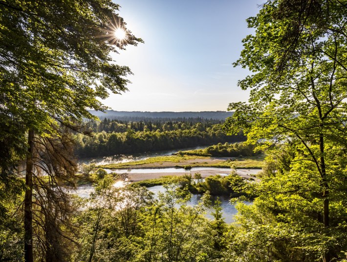 Ein Stück &quot;Urwald&quot; an der Isar ganz nahe der Stadt Wolfratshausen , © Stadt Wolfratshausen|Adrian Greiter