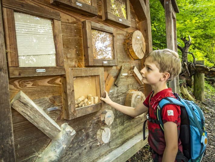 An der Station &quot;Der Wald ein Lieferant&quot; am Beginn des Wolfratshauser Bergwald-Erlebnispfads, © Stadt Wolfratshausen|Adrian Greiter