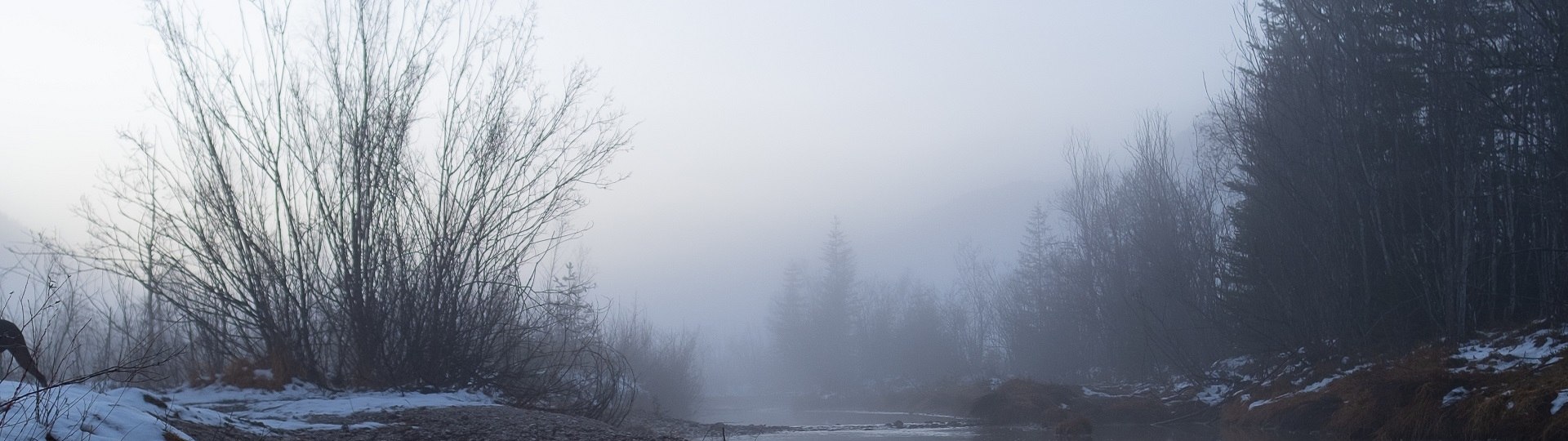 Nebelverhangene Winterstimmung in den Isarauen mit Pflanzenbüscheln , © Landratsamt Bad Tölz-Wolfratshausen|Foto: S. Gerg