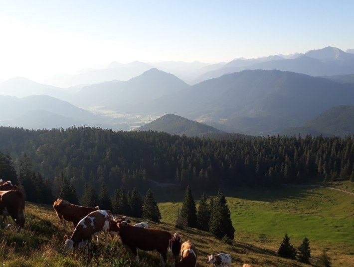 Ausblick von der Almweide in die Berge, &copy; Seppenbauernhof