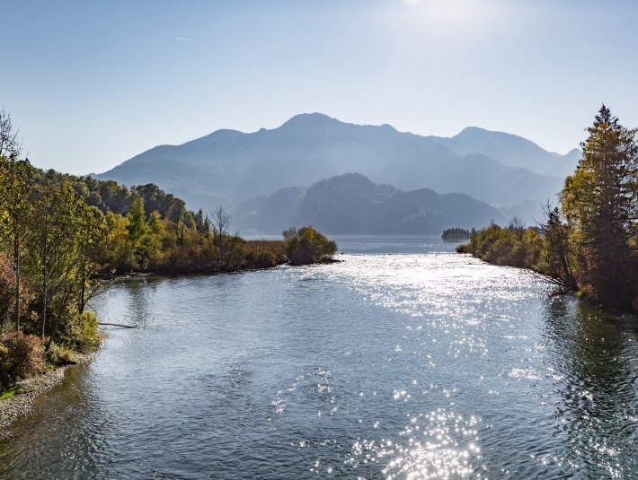 Der Kochelsee grenzt an die Loisach-Kochelseemoore und ist NATURA 2000-Gebiet, also ein euopäisches Vogelschutzgebiet. Bitte trage dazu bei, den Lebensraum von z.T. äußerst raren Zug- und Brutvögeln zu schützen, in dem Du die Regeln in den Schutzgebieten beachtest., © Tourist Information Kochel a. See|Thomas Kujat