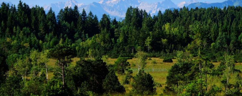 Ellbacher Moor (HK29), © Tölzer Land Tourismus